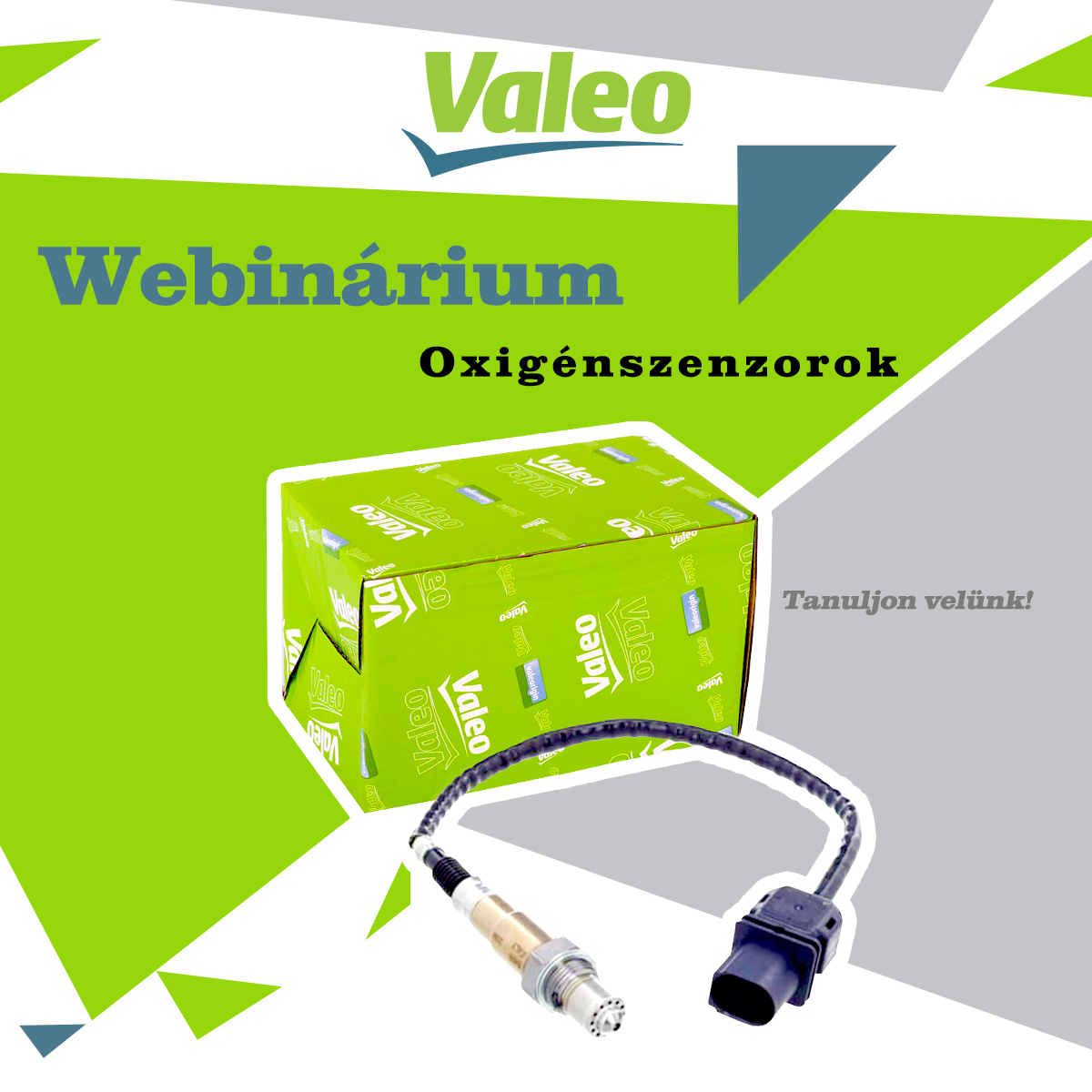 Valeo webinárium O2